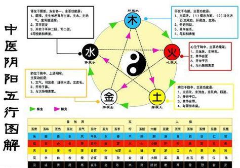 金 水|怎样理解五行理论中的“金生水”？